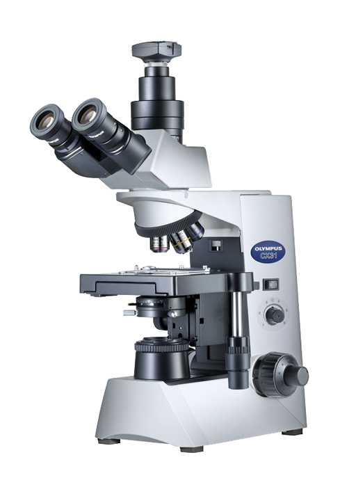 microscope-olympus-cx31o0_enl